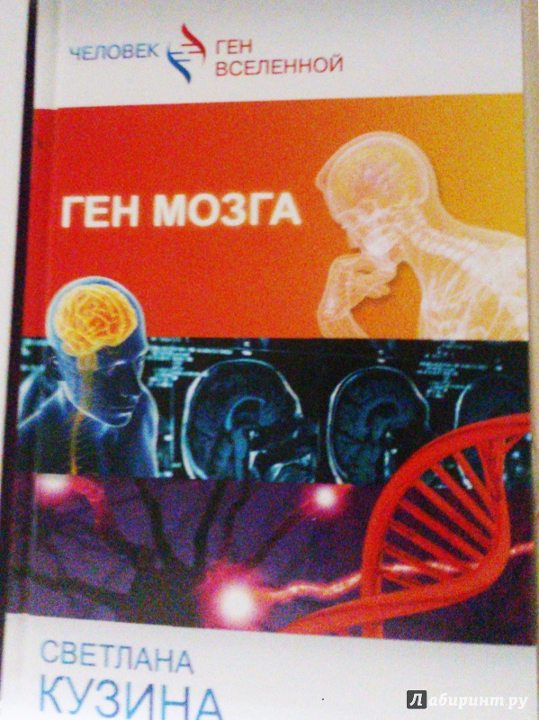 Иллюстрация 4 из 23 для Ген мозга - Светлана Кузина | Лабиринт - книги. Источник: Петрович  Антон