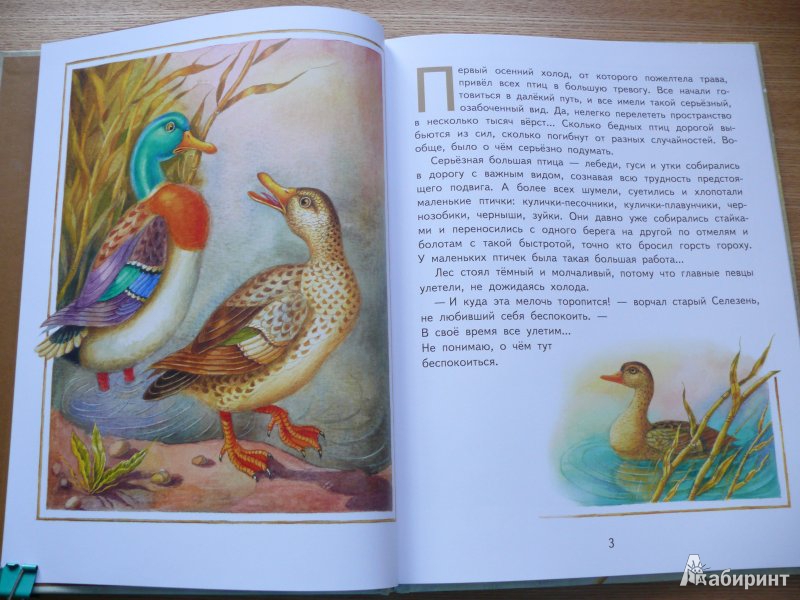 Иллюстрация 2 из 18 для Серая Шейка - Дмитрий Мамин-Сибиряк | Лабиринт - книги. Источник: Ded Sergej