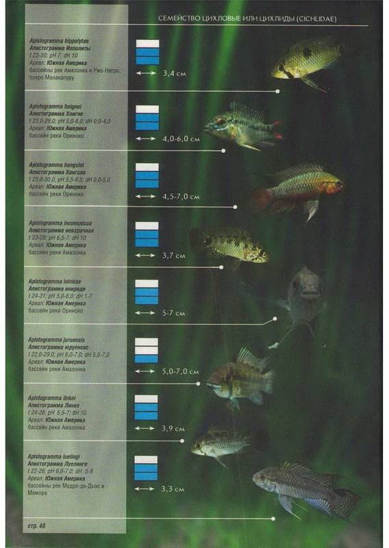 Иллюстрация 28 из 28 для Все об аквариумных рыбках. Атлас-справочник | Лабиринт - книги. Источник: Ялина