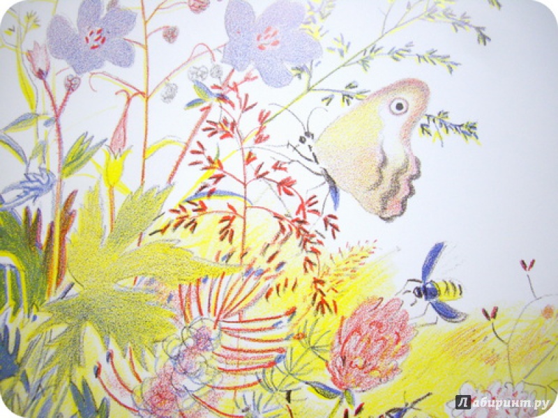 Иллюстрация 16 из 56 для Луговая считалочка - Джон Лангстафф | Лабиринт - книги. Источник: anne-d-autriche