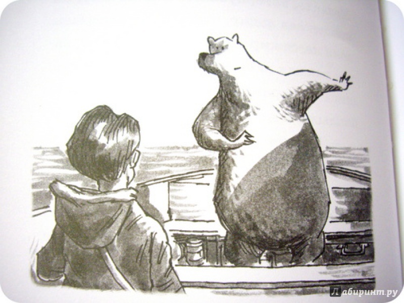 Иллюстрация 16 из 40 для Мальчик и Медведь в лодке - Дейв Шелтон | Лабиринт - книги. Источник: anne-d-autriche