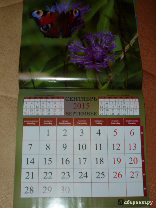 Иллюстрация 10 из 15 для Календарь 2015. Бабочки (12 листов) | Лабиринт - сувениры. Источник: elenak