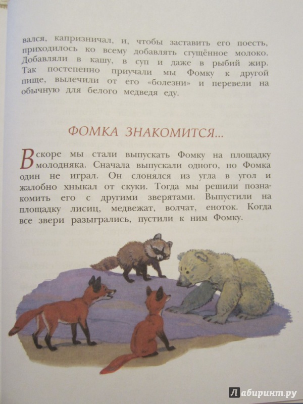Иллюстрация 36 из 43 для Фомка - белый медвежонок - Вера Чаплина | Лабиринт - книги. Источник: ЮлияО