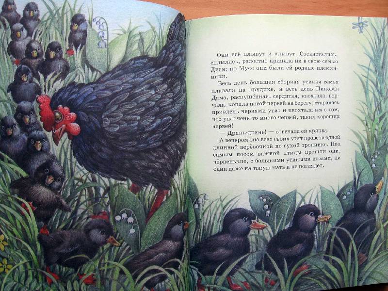 Иллюстрация 26 из 47 для Рассказы о животных - Михаил Пришвин | Лабиринт - книги. Источник: Red cat ;)