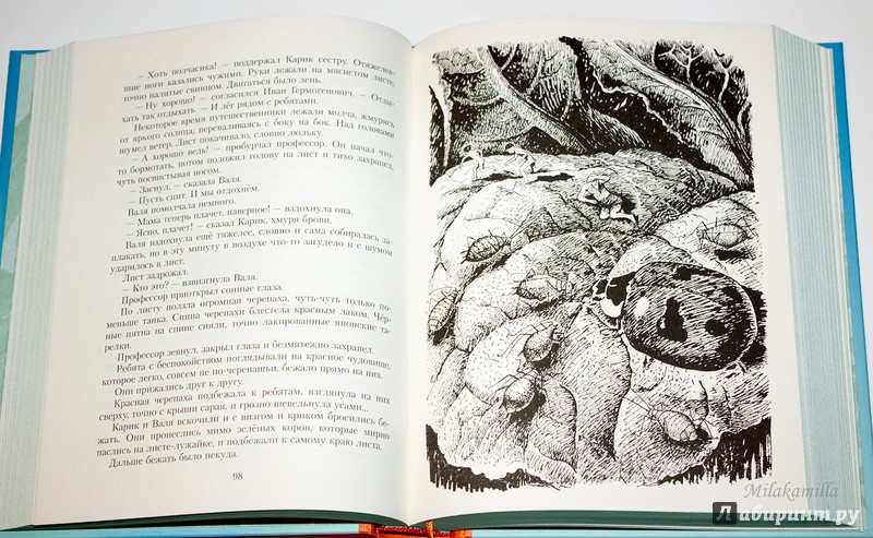 Иллюстрация 74 из 101 для Необыкновенные приключения Карика и Вали - Ян Ларри | Лабиринт - книги. Источник: Букландия