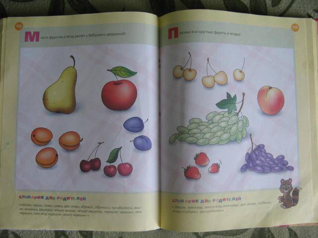 Иллюстрация 11 из 12 для Уроки для самых маленьких (1-3 года) - Лена Данилова | Лабиринт - книги. Источник: libe