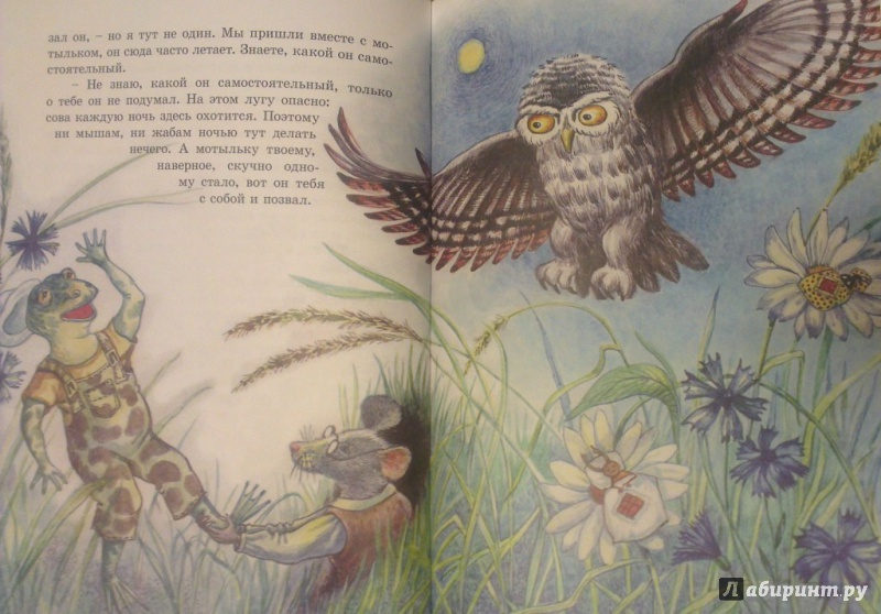 Иллюстрация 19 из 32 для Домик под кустом крыжовника - Е. Маланьина | Лабиринт - книги. Источник: Katty