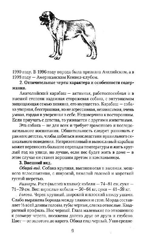Иллюстрация 13 из 28 для Все о собаках. Вопросы и ответы - Елена Гликина | Лабиринт - книги. Источник: Юта
