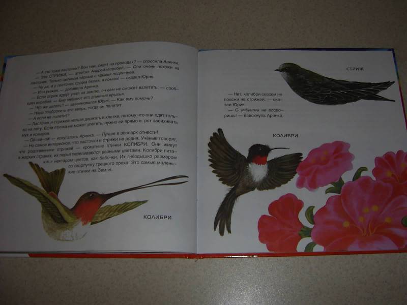 Иллюстрация 23 из 27 для Птицы и Андрей-воробей - Татьяна Рик | Лабиринт - книги. Источник: Лилианна