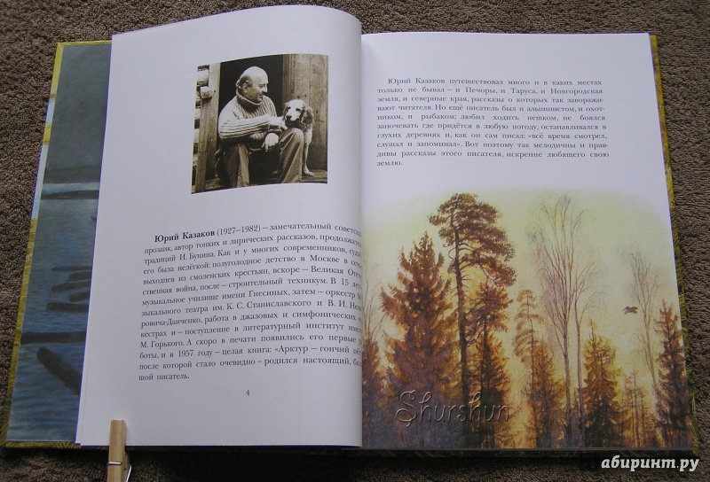 Иллюстрация 36 из 46 для Арктур - гончий пёс - Юрий Казаков | Лабиринт - книги. Источник: Shurshun