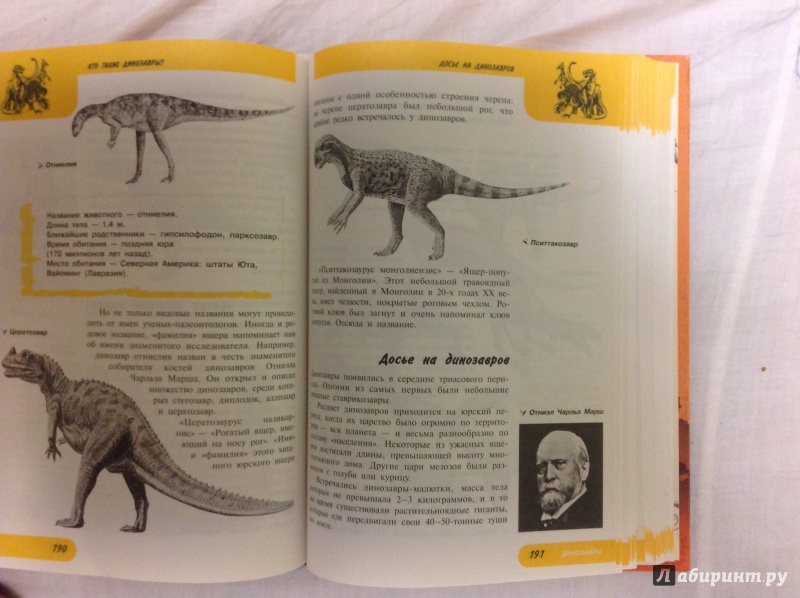 Иллюстрация 14 из 22 для Жизнь замечательных динозавров - Пахневич, Чегодаев | Лабиринт - книги. Источник: Alitalia