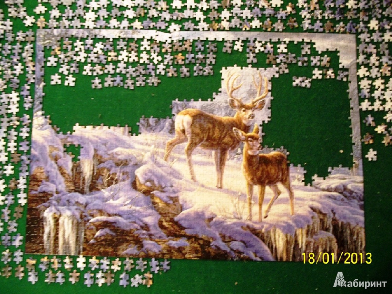 Иллюстрация 6 из 11 для Puzzle-1000 "Зимние горы" (C-102501) | Лабиринт - игрушки. Источник: JaaSv