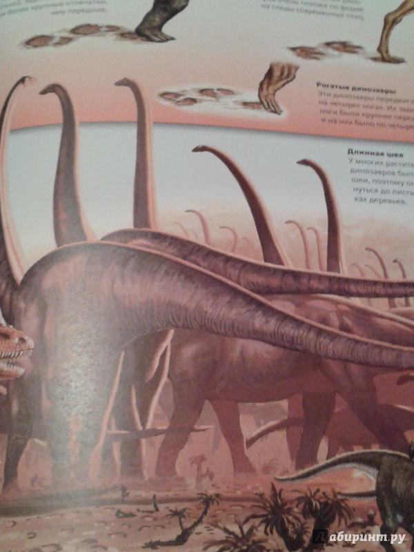 Иллюстрация 34 из 39 для Охотники за динозаврами | Лабиринт - книги. Источник: Написатель