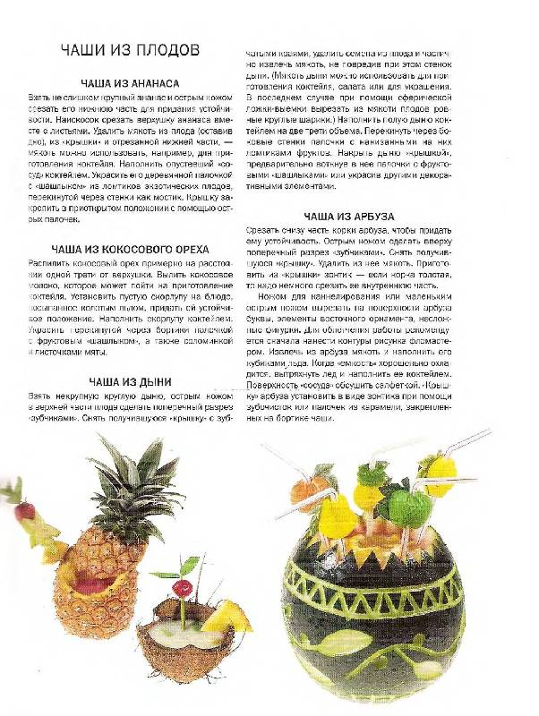 Иллюстрация 14 из 19 для Как декорировать блюда - Селезнева, Филипп | Лабиринт - книги. Источник: Лана
