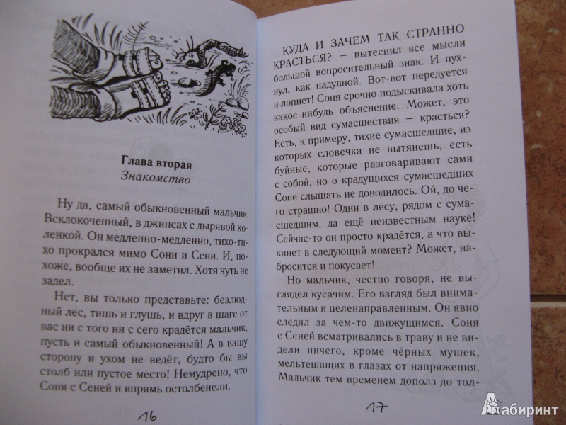 Иллюстрация 9 из 39 для Соло на водонапорной башне - Евгения Ярцева | Лабиринт - книги. Источник: Ольга
