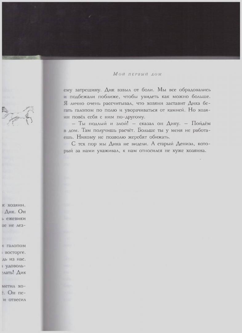 Иллюстрация 55 из 89 для Черный красавчик - Анна Сьюэлл | Лабиринт - книги. Источник: LanaEr
