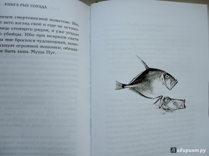 Иллюстрация 21 из 21 для Книга рыб Гоулда. Роман в двенадцати рыбах - Ричард Фланаган | Лабиринт - книги. Источник: blackbunny33