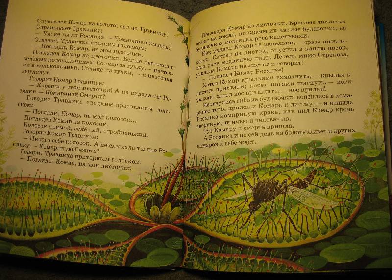 Иллюстрация 9 из 22 для Сказки о природе - Виталий Бианки | Лабиринт - книги. Источник: В  Светлана Е