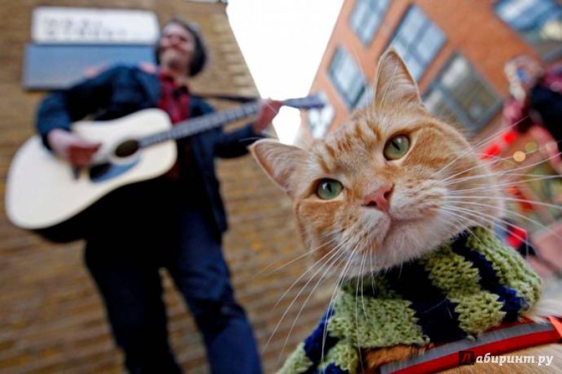 Иллюстрация 25 из 97 для Уличный кот по имени Боб. Как человек и кот обрели надежду на улицах Лондона - Боуэн, Дженкинс | Лабиринт - книги. Источник: александр ,симонов