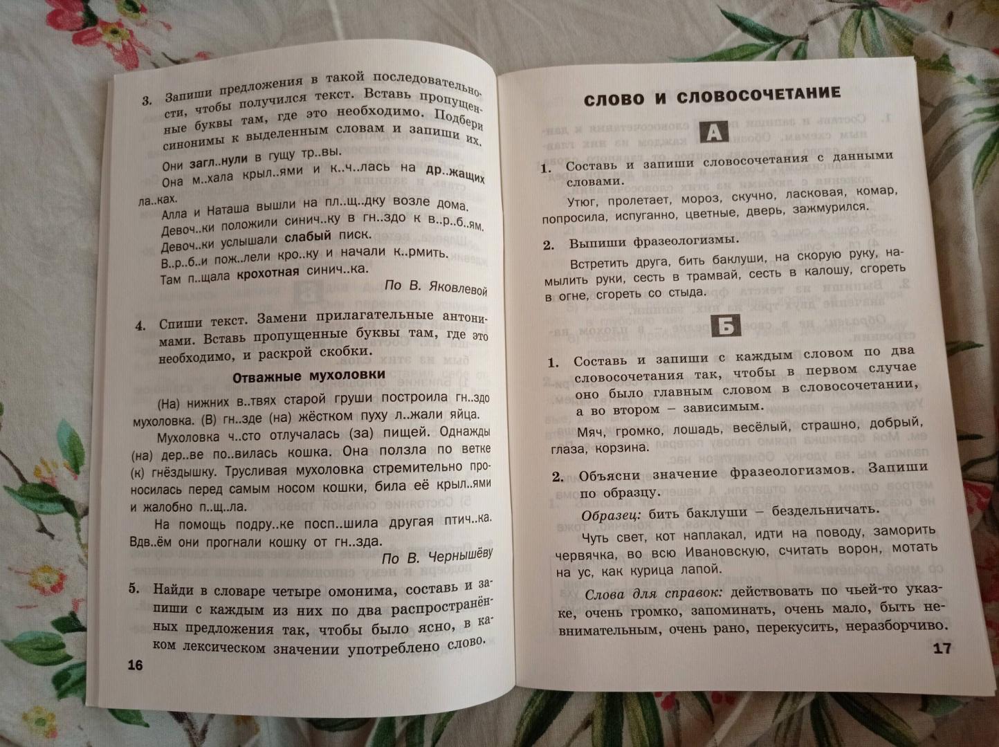 Иллюстрация 25 из 32 для Русский язык. 3 класс. Разноуровневые задания. ФГОС | Лабиринт - книги. Источник: Александра