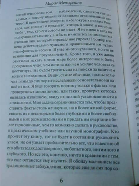 Иллюстрация 12 из 18 для Жизнь пчел - Морис Метерлинк | Лабиринт - книги. Источник: lettrice