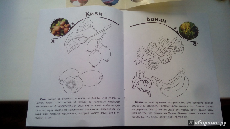 Иллюстрация 3 из 5 для Где растут фрукты? | Лабиринт - книги. Источник: Косова  Мария