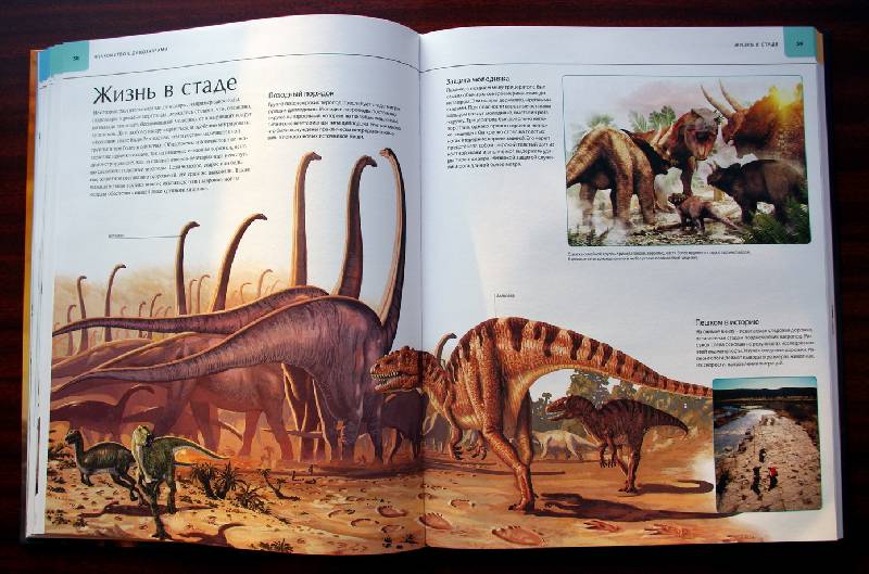 Иллюстрация 93 из 109 для Динозавры. Иллюстрированный атлас - Майкл Бретт-Шуман | Лабиринт - книги. Источник: Валерия