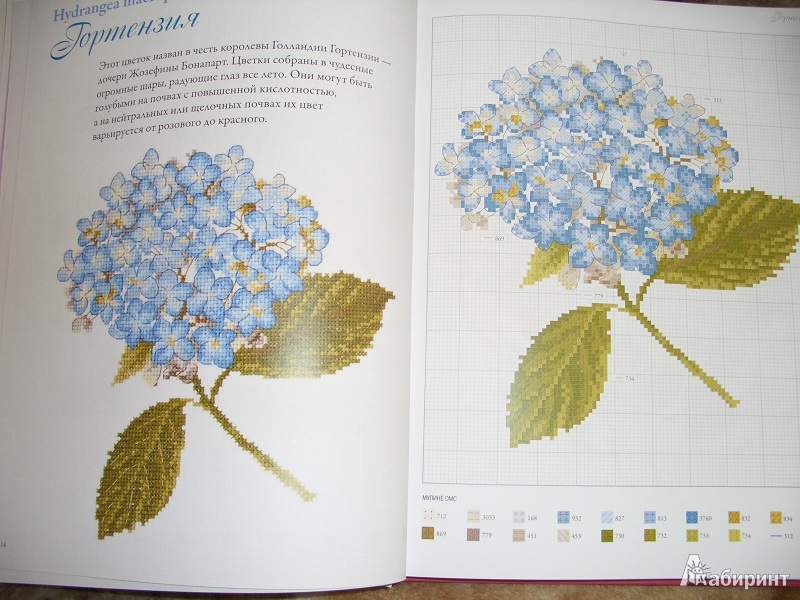 Иллюстрация 8 из 26 для Садовые цветы, вышитые крестом - Вероник Ажинер | Лабиринт - книги. Источник: variae lectiones