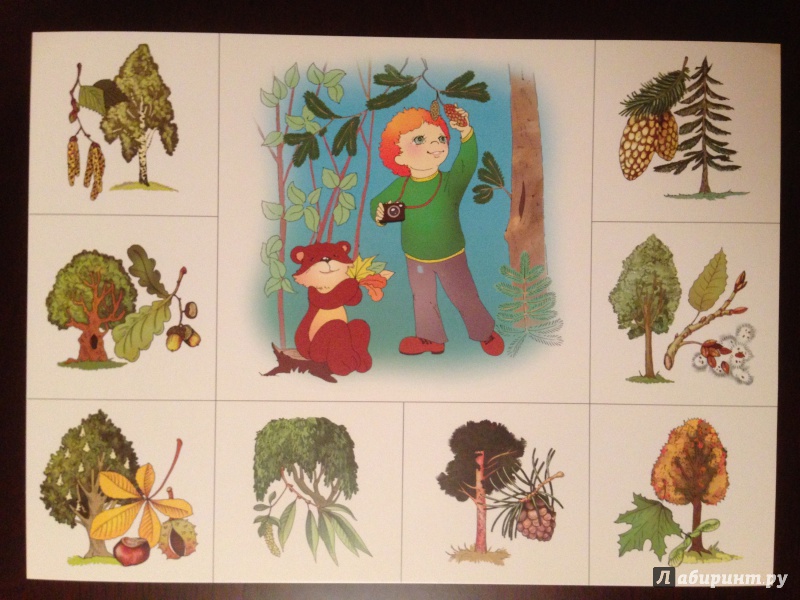 Иллюстрация 6 из 17 для Детское лото "Растения" | Лабиринт - игрушки. Источник: Чернышева  Анна