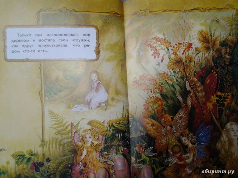 Иллюстрация 18 из 26 для Сказки заколдованного леса - Ширли Барбер | Лабиринт - книги. Источник: Olga