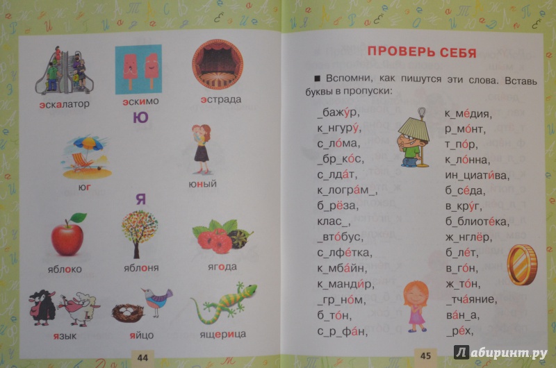 Иллюстрация 26 из 34 для Словарные слова в картинках для начальной школы | Лабиринт - книги. Источник: Муми-мама