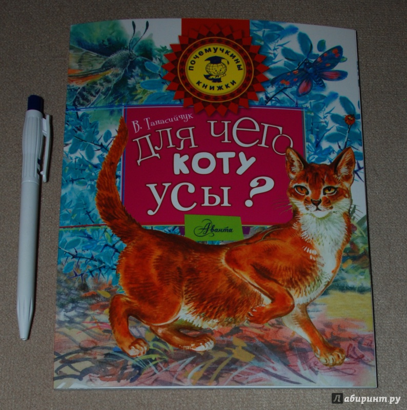 Иллюстрация 2 из 32 для Для чего коту усы? - Виталий Танасийчук | Лабиринт - книги. Источник: Книжный кот