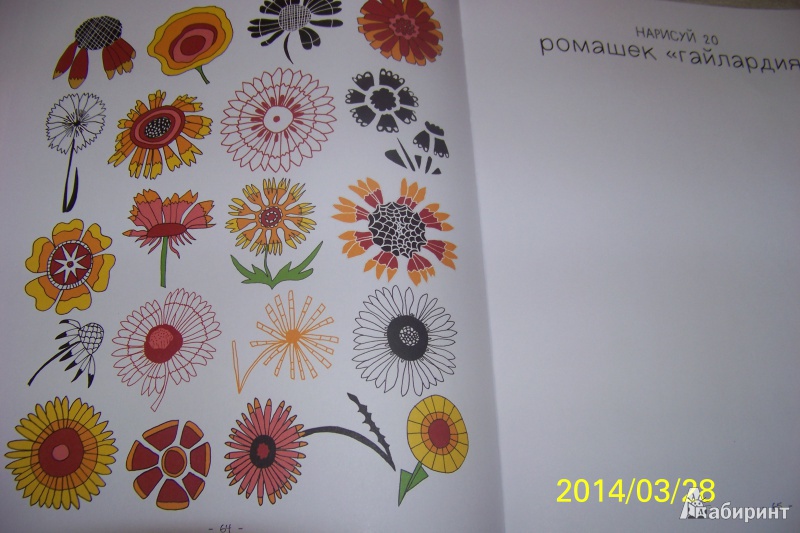 Иллюстрация 24 из 38 для 20 способов нарисовать тюльпан и 44 других прекрасных цветка - Лиза Конгдон | Лабиринт - книги. Источник: G