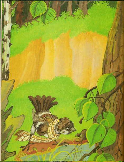 Иллюстрация 7 из 32 для Сказки Дремучего леса - Тамара Крюкова | Лабиринт - книги. Источник: Юта