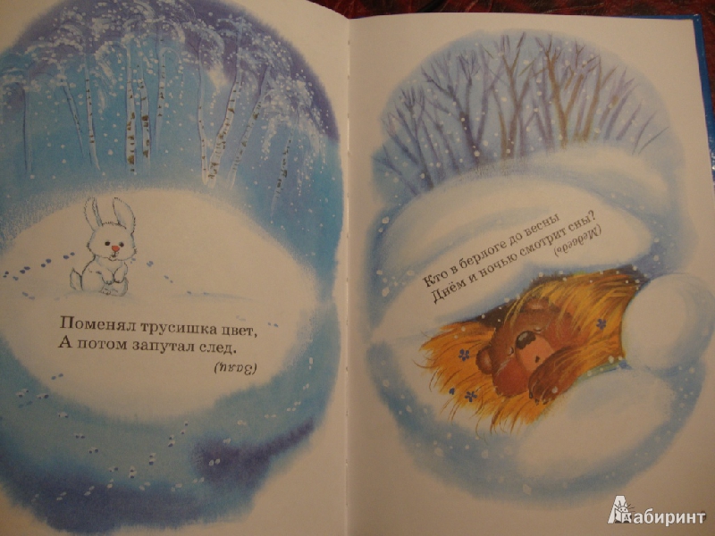 Иллюстрация 5 из 19 для Маленькой ёлочке холодно зимой | Лабиринт - книги. Источник: koshkindom
