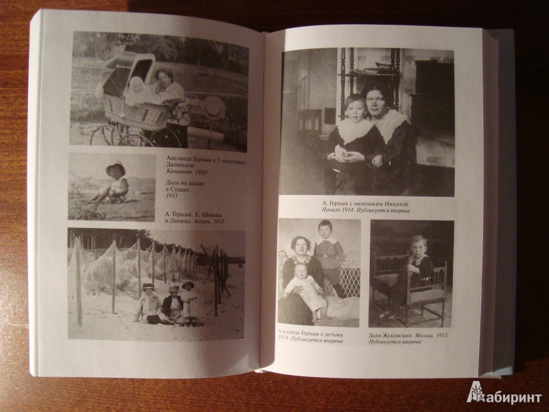 Иллюстрация 7 из 20 для Таинства игры: Аделаида Герцык и ее дети | Лабиринт - книги. Источник: Чародейница