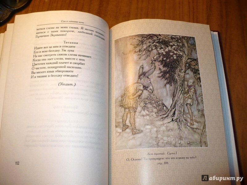 Иллюстрация 13 из 31 для Сон в летнюю ночь - Уильям Шекспир | Лабиринт - книги. Источник: Голиков  Сергей Юрьевич