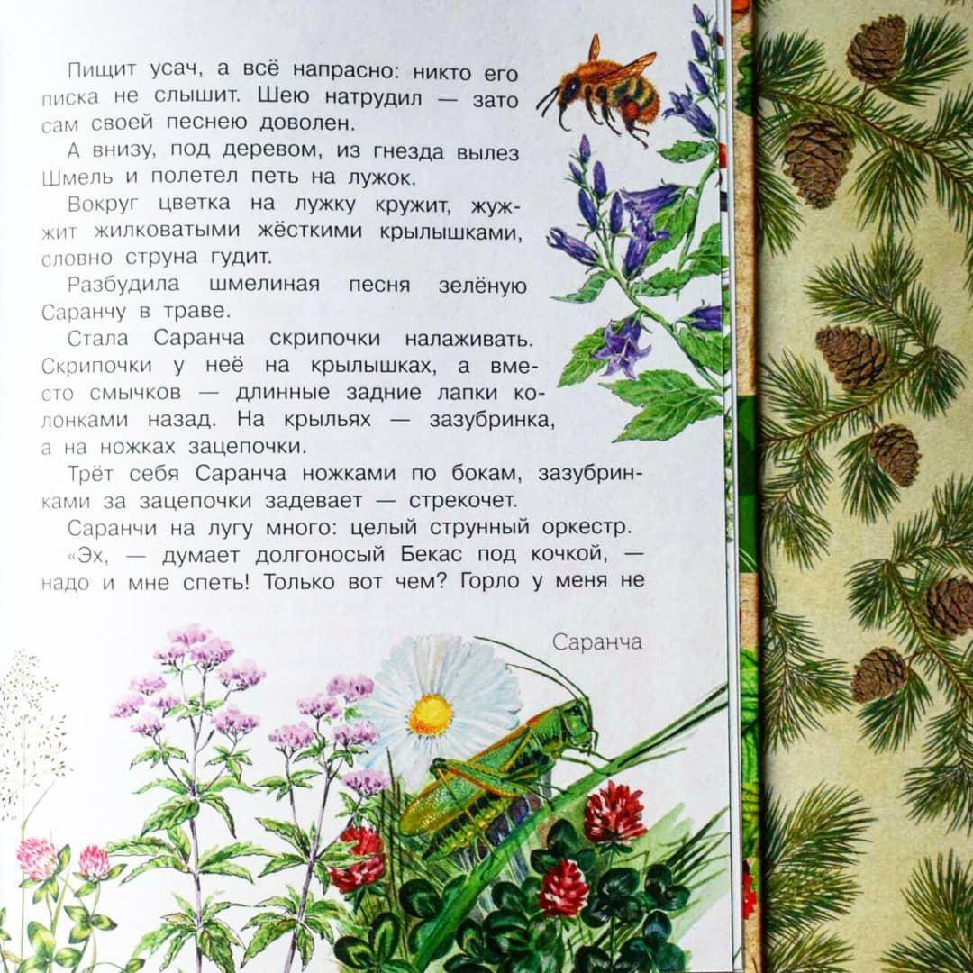 Иллюстрация 52 из 71 для Лесные домишки - Виталий Бианки | Лабиринт - книги. Источник: Отзывы читателей