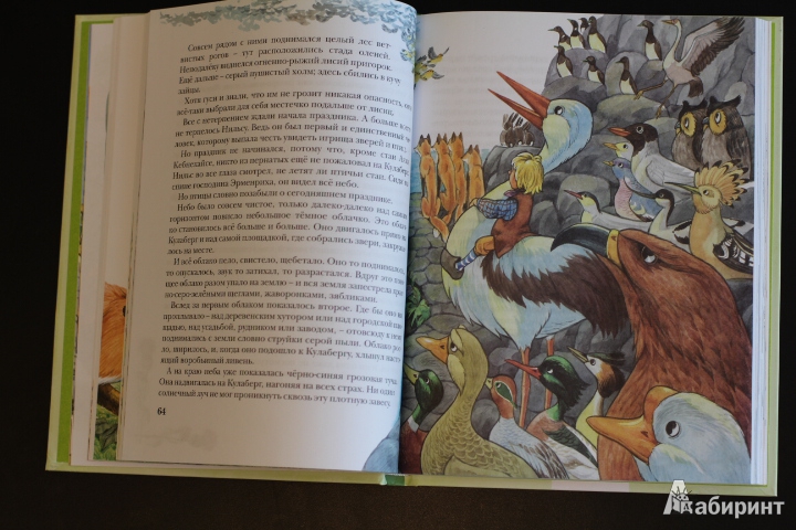 Иллюстрация 49 из 50 для Чудесное путешествие Нильса с дикими гусями - Сельма Лагерлеф | Лабиринт - книги. Источник: LittleDragon