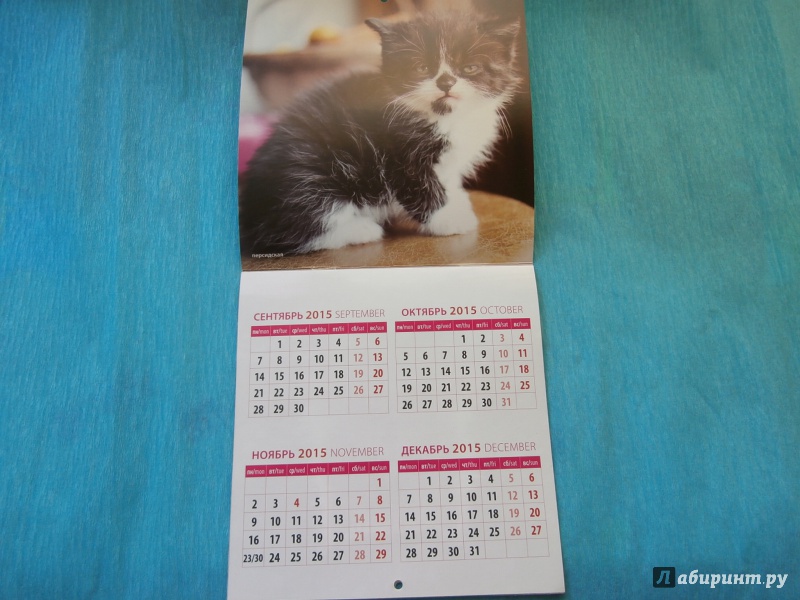 Иллюстрация 5 из 13 для Календарь настенный на 2016 год "Забавные котята" (30605) | Лабиринт - сувениры. Источник: Tiger.