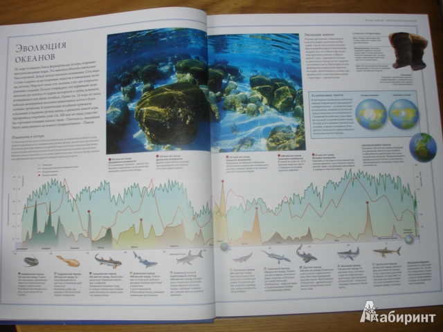 Иллюстрация 27 из 32 для Океаны. Иллюстрированный атлас - Хатчинсон, Макмиллан, Лутьехармс | Лабиринт - книги. Источник: Осьминожка