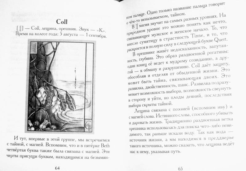 Иллюстрация 7 из 14 для Лестница Огама. Рунический алфавит друидов. Книга + набор открыток - Алла Киселева | Лабиринт - книги. Источник: К.С.
