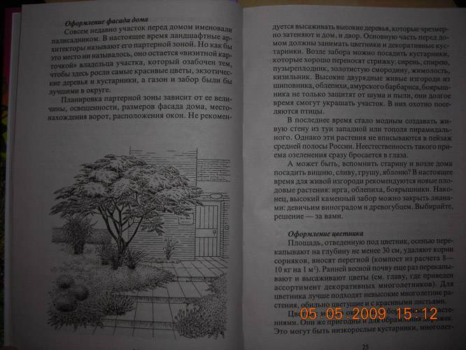 Иллюстрация 18 из 45 для Современный сад - Майя Александрова | Лабиринт - книги. Источник: Плахова  Татьяна