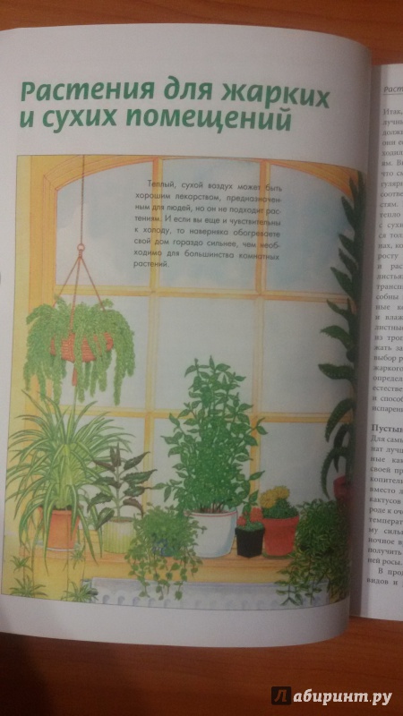 Иллюстрация 9 из 19 для Светолюбивые растения | Лабиринт - книги. Источник: Nagato