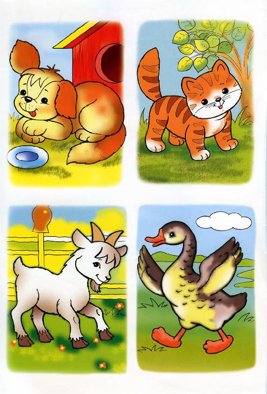 Иллюстрация 2 из 16 для Рисуем и раскрашиваем домашних животных. 6+ | Лабиринт - книги. Источник: Росинка