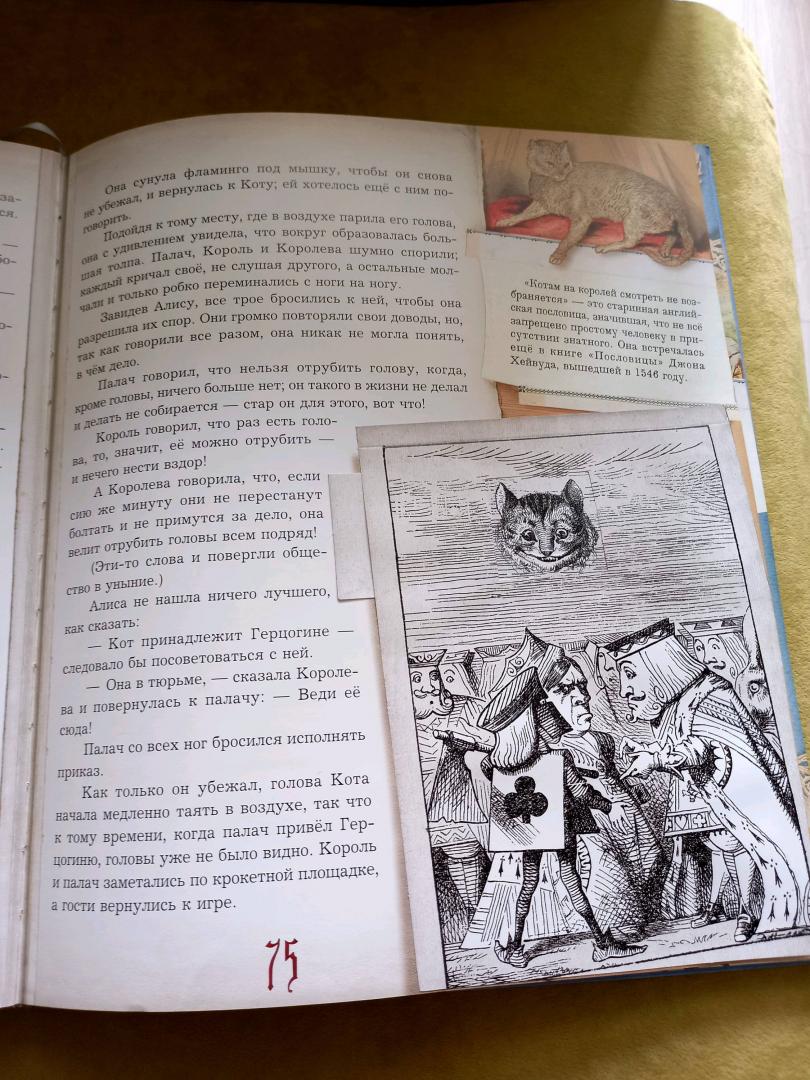 Иллюстрация 214 из 232 для Приключения Алисы в Стране Чудес - Льюис Кэрролл | Лабиринт - книги. Источник: Лабиринт