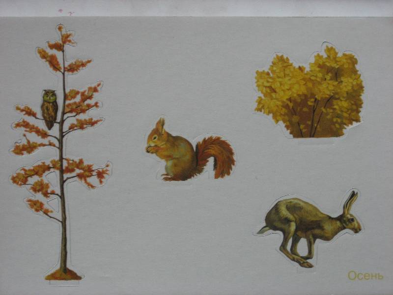 Иллюстрация 3 из 4 для 094 Осень в лесу | Лабиринт - игрушки. Источник: Dana-ja