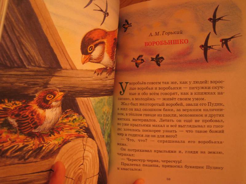 Иллюстрация 11 из 12 для Лягушка-путешественница - Гаршин, Мамин-Сибиряк, Горький | Лабиринт - книги. Источник: Фея Нежности
