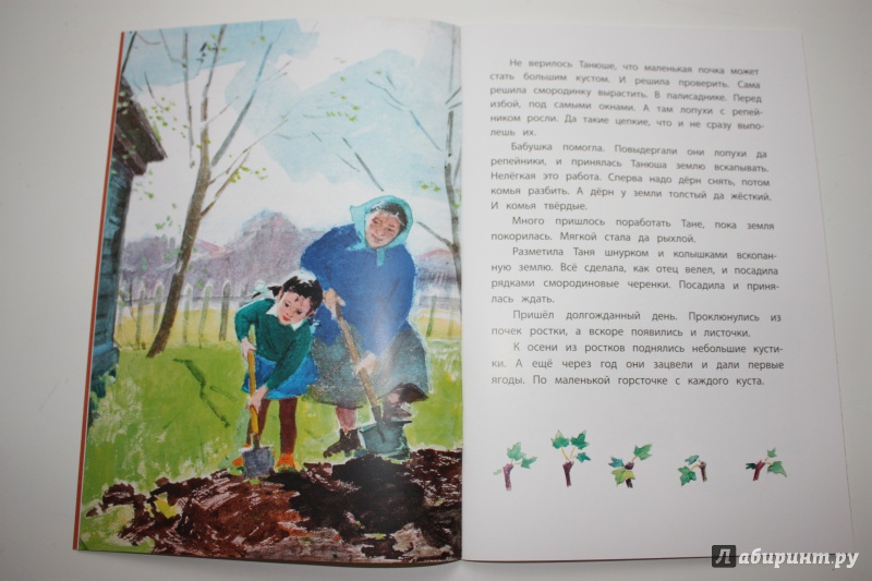 Иллюстрация 18 из 46 для Смородинка - Евгений Пермяк | Лабиринт - книги. Источник: Bradbury
