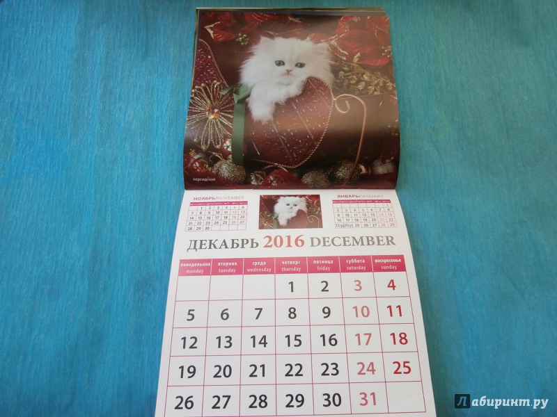 Иллюстрация 11 из 13 для Календарь настенный на 2016 год "Забавные котята" (30605) | Лабиринт - сувениры. Источник: Tiger.